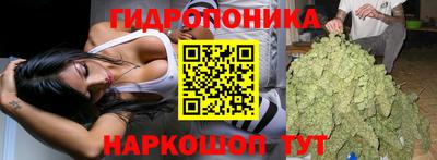 mdpv Заводоуковск