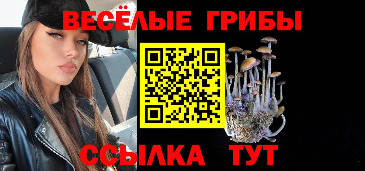 Галлюциногенные грибы GOLDEN TEACHER Лесной