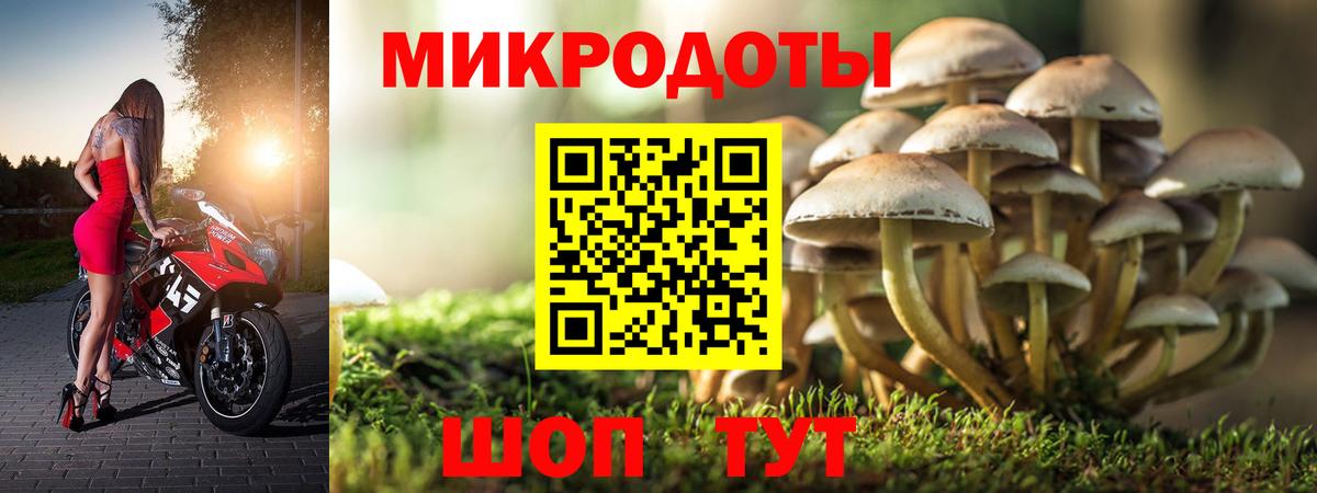 Псилоцибиновые грибы ЛСД  Галлюциногенные грибы мухоморы  Вход с VPN  Лесной 
